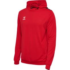Authentic Pl Hoodie 
