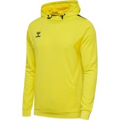 Authentic Pl Hoodie 