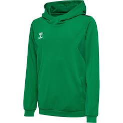 Authentic Pl Hoodie Kinder