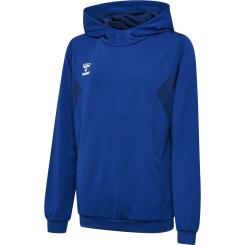 Authentic Pl Hoodie Kinder