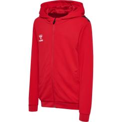 Authentic Pl Zip Hoodie Kinder