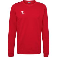Authentic Co Trainingssweat