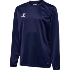 Essential Sweatshirt Kinder