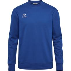 Go 2.0 Sweatshirt