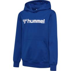 Hmlgo 2.0 Logo Hoodie Kinder