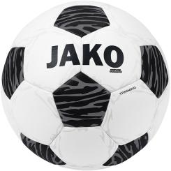 Animal Trainingsball
