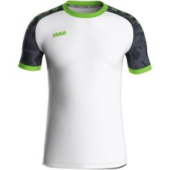 Trikot Iconic Kurzarm