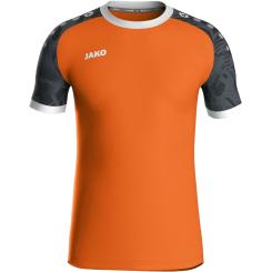 Trikot Iconic Kurzarm