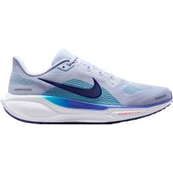 Pegasus 41 