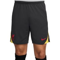 FC Liverpool Strike Third Dri-Fit Short 