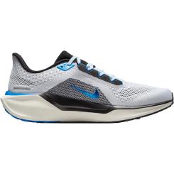 Pegasus 41