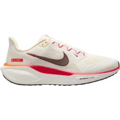 Air Zoom Pegasus 41 Damen