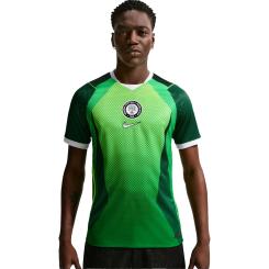 Nigerien 26 Dri-Fit Stadium Heimtrikot