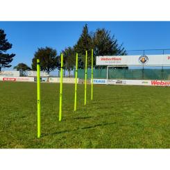 Höhenverstellbare Slalomstangen - 5er Set - mit Erdspieße 