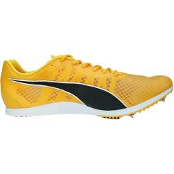 Evospeed Distance 11 