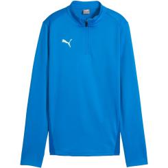 Teamgoal Training 1/4 Zip Top Damen