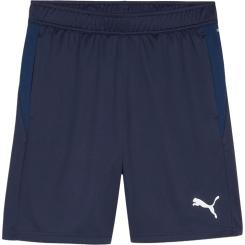 Teamgoal Training Short 