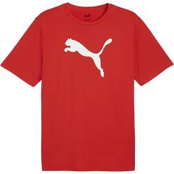 Teamrise Logo Jersey Cotton