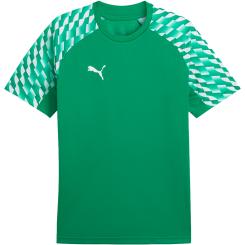 Teamliga 26 Trikot
