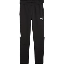 teamEVOSTRIPE Pants