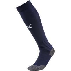 Liga Socke