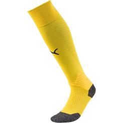 Liga Socke