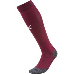 Liga Socke