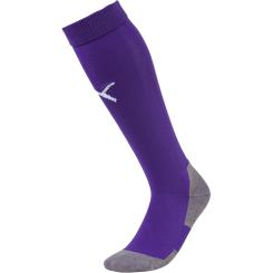 Stutzen Liga Socks Core