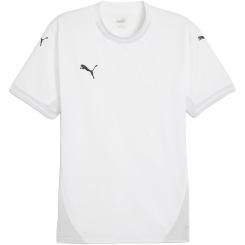 teamFINAL Trikot