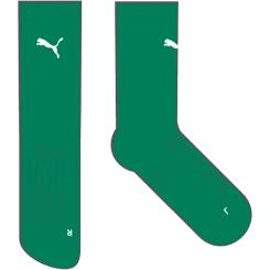 Teamgoal Performance Socken 