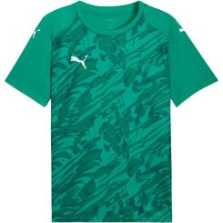 Team Final Graphic Trikot