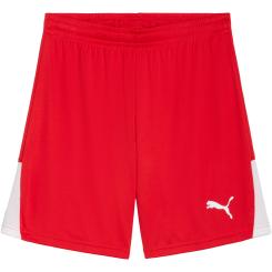 Teamliga 26 Shorts