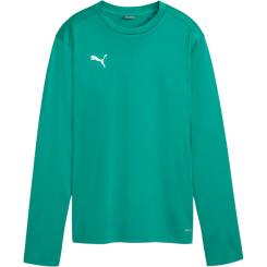 Teamgoal Training Sweat Damen