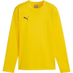Teamgoal Training Sweat Kinder