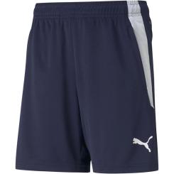 Teamliga Training Shorts Damen 