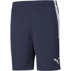Teamliga Training Shorts 