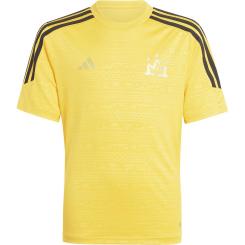 Salah Trainingsshirt 