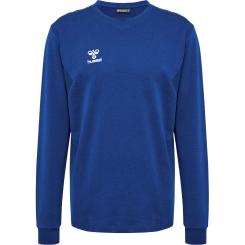 AUTHENTIC CO TRAINING SWEAT