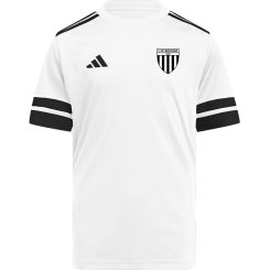 1. FC Bocholt Trikot Kinderinkl. 3D Badge 