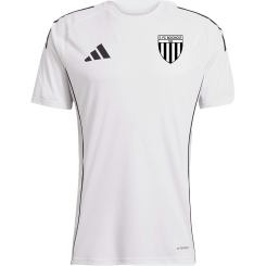 1. FC Bocholt Trainingstrikot inkl. 3D Badge 