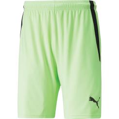 Team Liga Shorts 