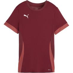 teamGOAL Matchday Trikot