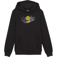 BVB ftblICONS Hoody 