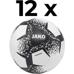 12x Trainingsball Performance im Bundle 