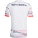 morepic-2