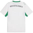 morepic-2