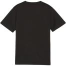 morepic-2