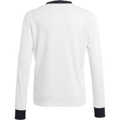 DFB 125 Jahre Anniversary Heimtrikot Langarm Kinder 