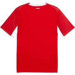 Österreich 26 Heimtrikot Replica 