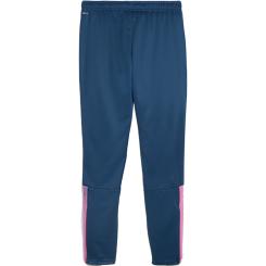 Teamliga Trainingshose 